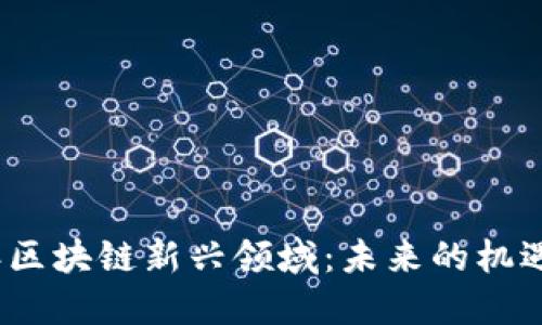 2023年区块链新兴领域：未来的机遇与挑战