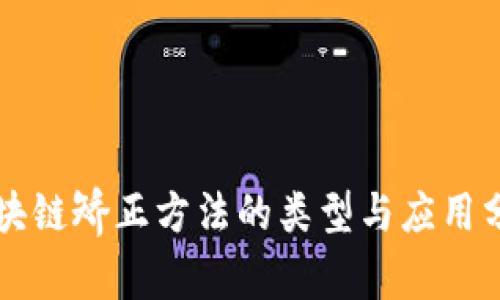 区块链矫正方法的类型与应用分析