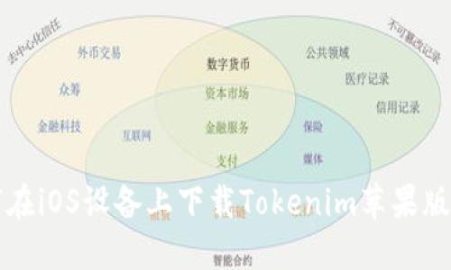 如何在iOS设备上下载Tokenim苹果版应用