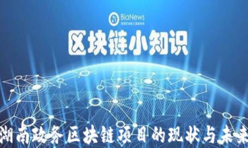 
探索湖南政务区块链项目的现状与未来发展