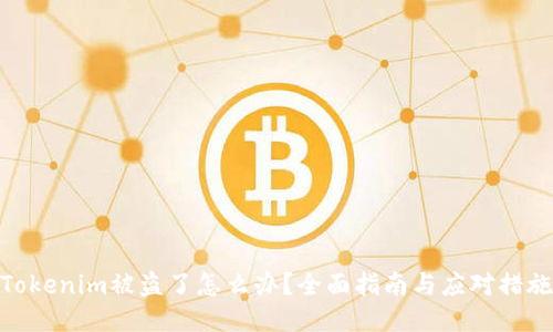 Tokenim被盗了怎么办？全面指南与应对措施