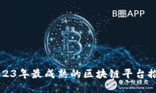2023年最成熟的区块链平台推荐