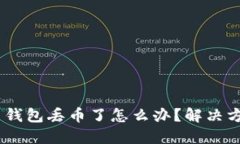 Tokenim 2.0 钱包丢币了怎么办？解决方案与预防措