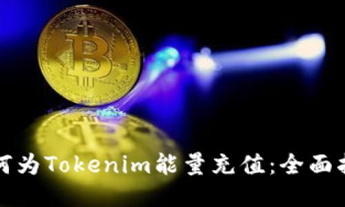 如何为Tokenim能量充值：全面指南