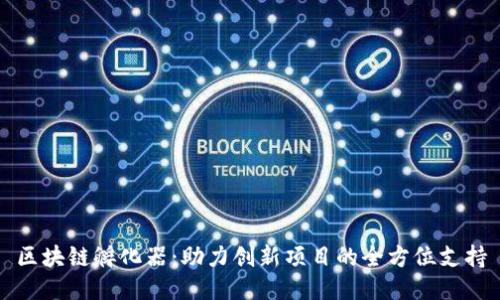 区块链孵化器：助力创新项目的全方位支持