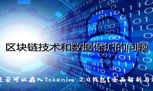传销币是否可以存入Tokenim 2.0钱包？全面解析与风险提示
