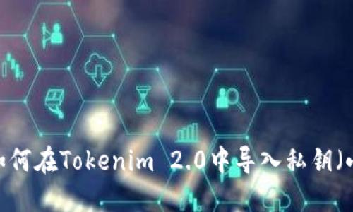 详细指南：如何在Tokenim 2.0中导入私钥（小写与大写）