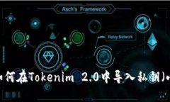 详细指南：如何在Tokenim 2.0中导入私钥（小写与大