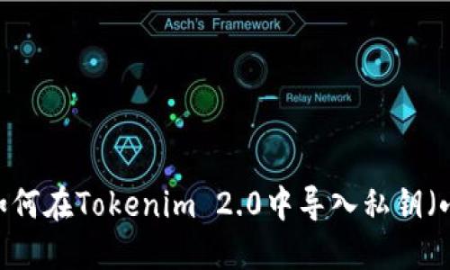 详细指南：如何在Tokenim 2.0中导入私钥（小写与大写）