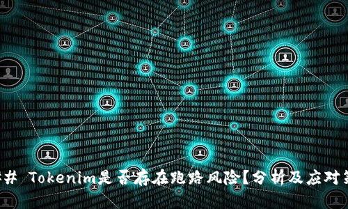 ### Tokenim是否存在跑路风险？分析及应对策略