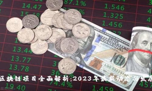 中国区块链项目全面解析：2023年最新动态与发展景观