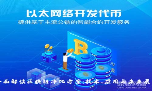 全面解读区块链净化方案：技术、应用与未来展望