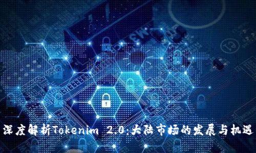 深度解析Tokenim 2.0：大陆市场的发展与机遇