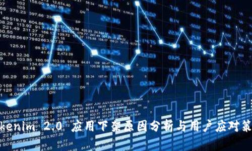 Tokenim 2.0 应用下架原因分析与用户应对策略