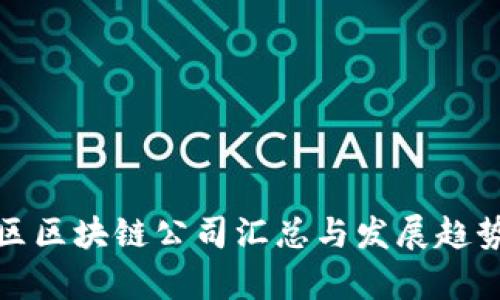 徐汇区区块链公司汇总与发展趋势分析