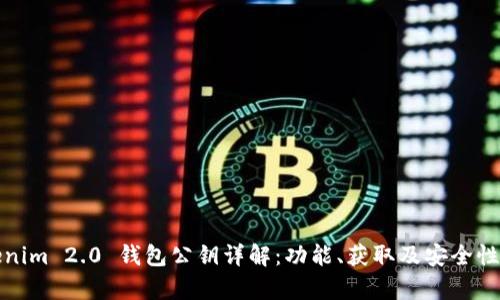 Tokenim 2.0 钱包公钥详解：功能、获取及安全性分析