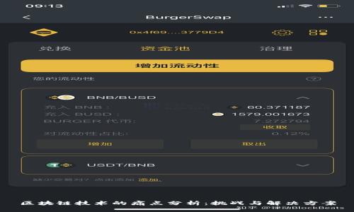 区块链技术的痛点分析：挑战与解决方案