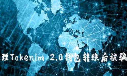 如何处理Tokenim 2.0钱包转账后被骗的情况