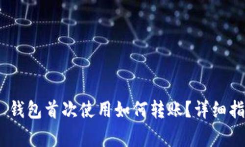 Tokenim 2.0 钱包首次使用如何转账？详细指南与注意事项