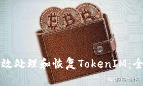 如何有效处理和恢复TokenIM：全面指南