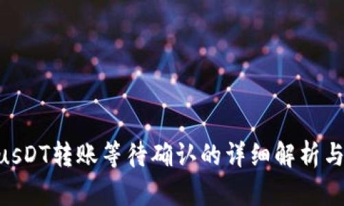 TokenimusDT转账等待确认的详细解析与解决方案