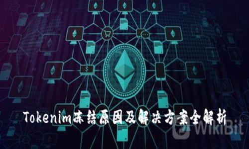Tokenim冻结原因及解决方案全解析