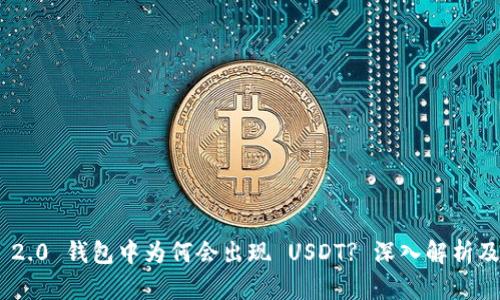 Tokenim 2.0 钱包中为何会出现 USDT? 深入解析及使用指南