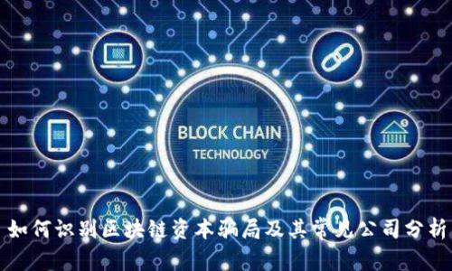 如何识别区块链资本骗局及其常见公司分析