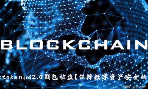 如何防止tokenim2.0钱包被盗？保障数字资产安全的实用指南