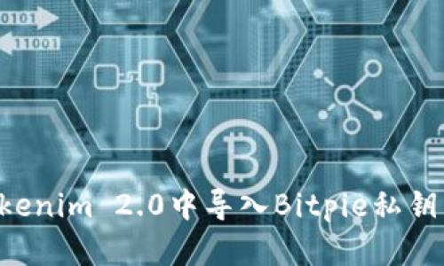 如何在Tokenim 2.0中导入Bitpie私钥：全面指南