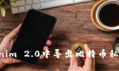 如何在Tokenim 2.0中导出比特币私钥：详细指南