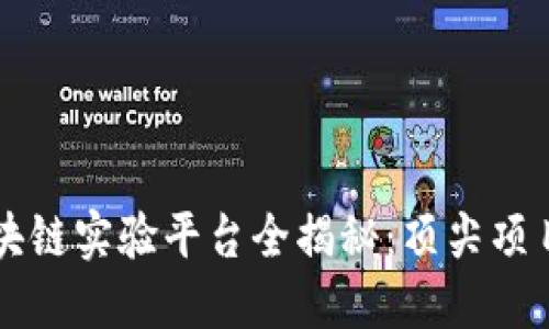 上海区块链实验平台全揭秘：顶尖项目大盘点