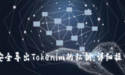 如何安全导出Tokenim的私钥：详细操作指南