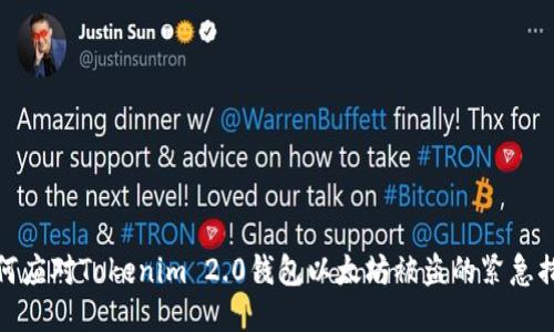 如何应对Tokenim 2.0钱包以太坊被盗的紧急措施