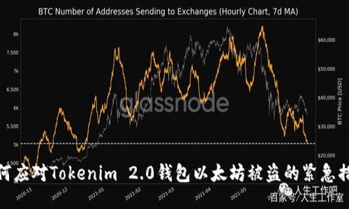 如何应对Tokenim 2.0钱包以太坊被盗的紧急措施