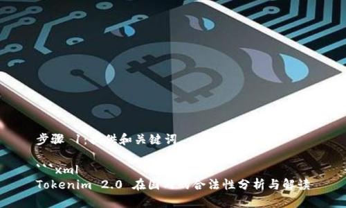 步骤 1：提供和关键词

```xml
Tokenim 2.0 在国内的合法性分析与解读