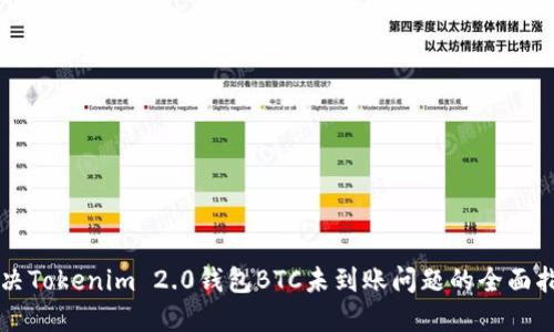 解决Tokenim 2.0钱包BTC未到账问题的全面指南