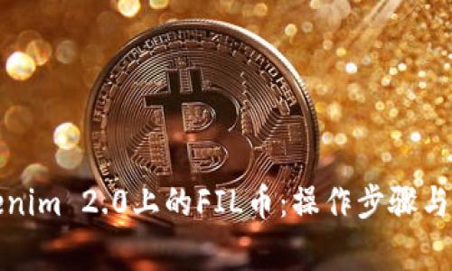 如何提取Tokenim 2.0上的FIL币：操作步骤与常见问题解答