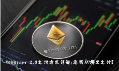 Tokenim 2.0支付方式详解：您钱从哪里支付？