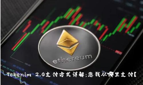 Tokenim 2.0支付方式详解：您钱从哪里支付？