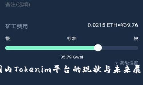 国内Tokenim平台的现状与未来展望
