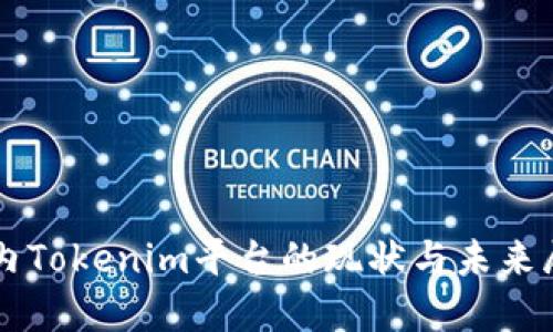 国内Tokenim平台的现状与未来展望