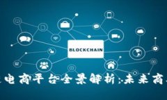 海南区块链电商平台全景解析：未来商业的新机