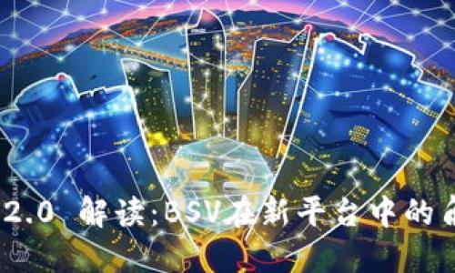 Tokenim 2.0 解读：BSV在新平台中的角色与应用