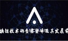 区块链技术的主要货币及其发展前景