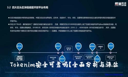 Tokenim安全可靠吗？全面分析与评估