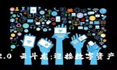 TokenIM 2.0 云斗龙：迎接数字资产管理新纪元