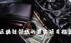 区块链领域的顶尖项目推荐