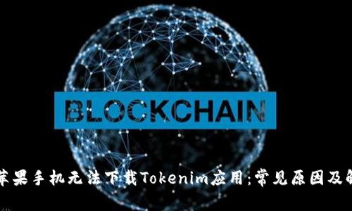 为什么苹果手机无法下载Tokenim应用：常见原因及解决方案