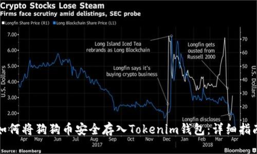 如何将狗狗币安全存入Tokenim钱包：详细指南